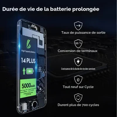 Vue 5
