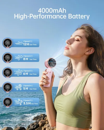 Vue 15