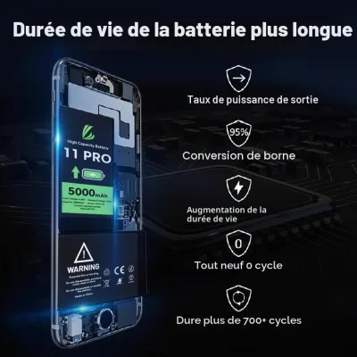 Vue 5
